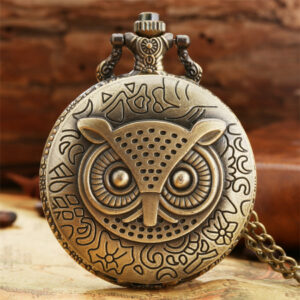 Montre de poche hibou bronze, gardien endormi