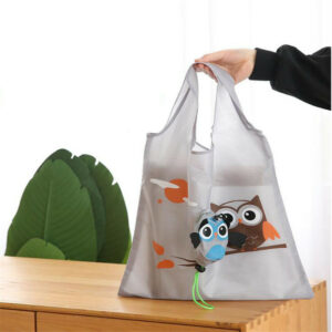 Sac cabas hibou blanc aux oiseaux colorés