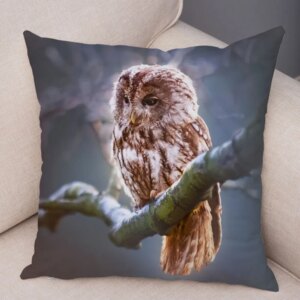 Coussin hibou dans la brume, regard de sous-bois